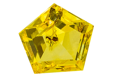 Amber with insect 0.75ct