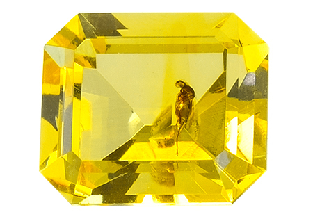 Amber with insect 0.90ct