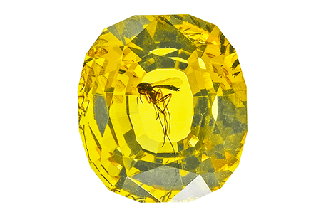 Amber with insect 2.48ct