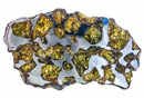 Pallasite Sericho 22.67 g