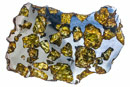 Pallasite Sericho 25.90 g