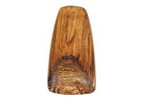Petrified wood 68.30ct