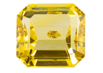 Amber with insect 1.38ct