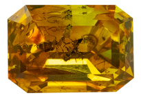 Amber with insect 2.02ct