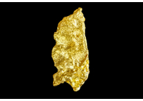 Golden nugget 1.6 g